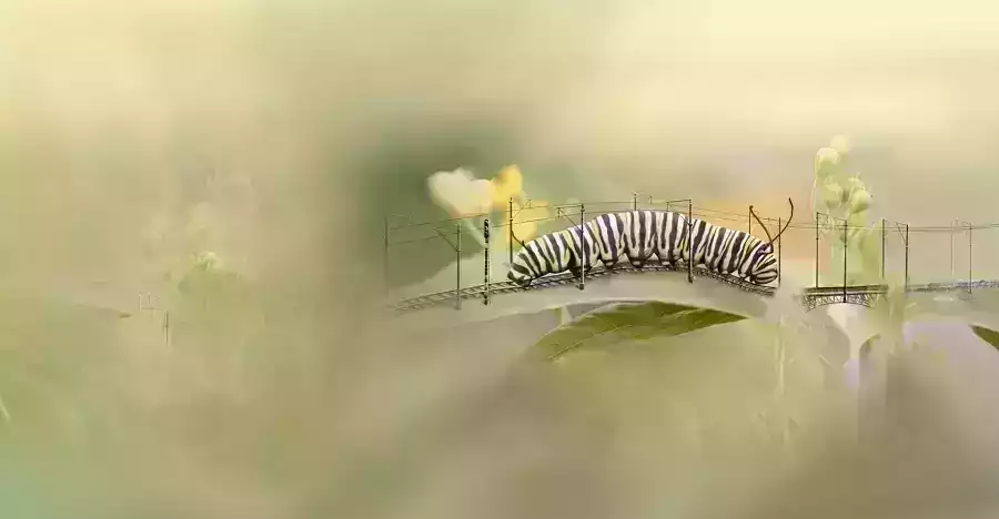 Mobiliya Technologies_overview